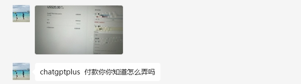 ChatGPT-Plus在线代充、账号升级、续费 | 无需提供账号密码、质保30天